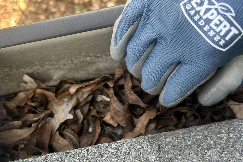 Gutter Cleaning Dunwoody