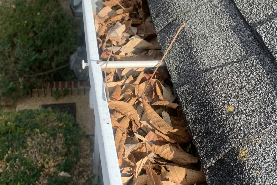 Gutter Cleaning Dunwoody