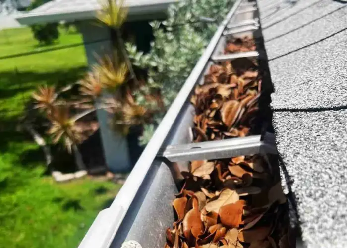 Gutter Cleaning Dunwoody home page